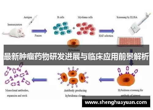 最新肿瘤药物研发进展与临床应用前景解析