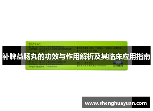 补脾益肠丸的功效与作用解析及其临床应用指南