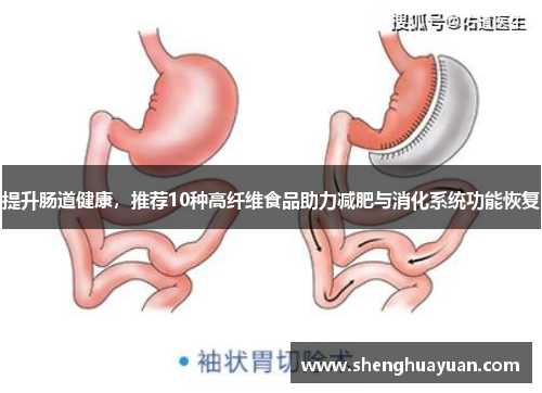 提升肠道健康，推荐10种高纤维食品助力减肥与消化系统功能恢复